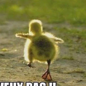 Meet your Posher, Charles